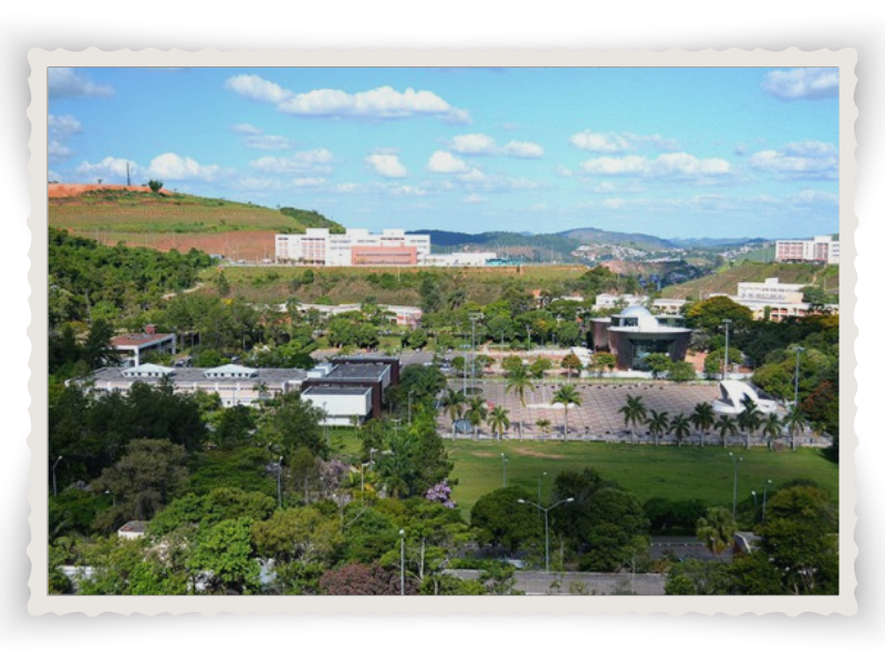 Universidade Federal de Juiz de Fora