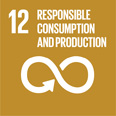 goal12_menu_icon