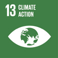 goal13_menu_icon
